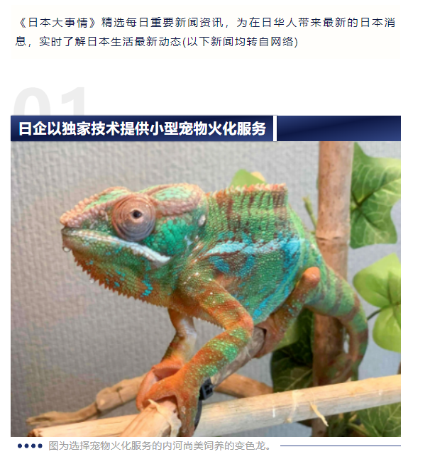 1723885612857845.png image.png
